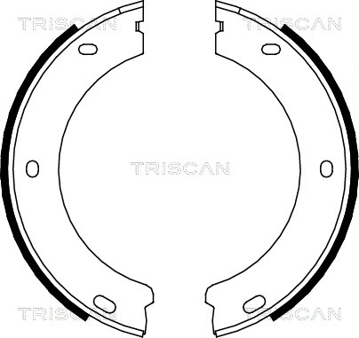 8100 28522 TRISCAN Комплект тормозных колодок, стояночная тормозная система (фото 1)