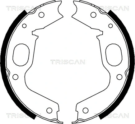 8100 42015 TRISCAN Комплект тормозных колодок, стояночная тормозная система (фото 1)