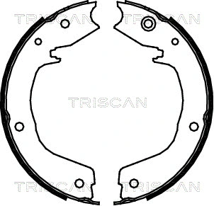 8100 42019 TRISCAN Комплект тормозных колодок, стояночная тормозная система (фото 1)