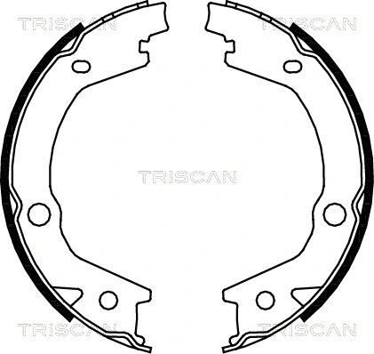 8100 43020 TRISCAN Комплект тормозных колодок, стояночная тормозная система (фото 1)