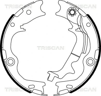 8100 43029 TRISCAN Комплект тормозных колодок, стояночная тормозная система (фото 1)