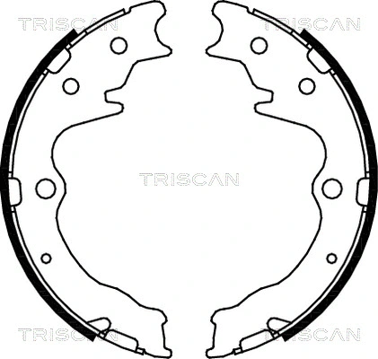 8100 50003 TRISCAN Комплект тормозных колодок, стояночная тормозная система (фото 1)