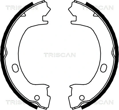 8100 80003 TRISCAN Комплект тормозных колодок, стояночная тормозная система (фото 1)
