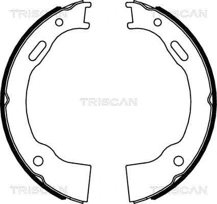 8100 80014 TRISCAN Комплект тормозных колодок, стояночная тормозная система (фото 1)