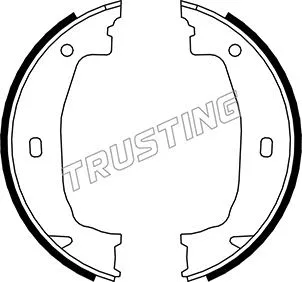 019.028 TRUSTING Комплект тормозных колодок, стояночная тормозная система (фото 1)
