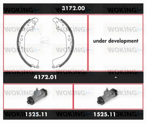 3172.00 WOKING Комплект тормозов, барабанный тормозной механизм (фото 1)