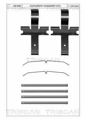8105 131653 TRISCAN Комплектующие, колодки дискового тормоза (фото 1)