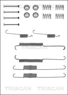 8105 102508 TRISCAN Комплектующие, тормозная колодка (фото 1)