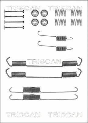 8105 102550 TRISCAN Комплектующие, тормозная колодка (фото 1)