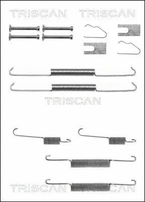 8105 112513 TRISCAN Комплектующие, тормозная колодка (фото 1)