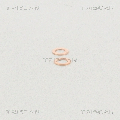 8150 29132 TRISCAN Тормозной шланг (фото 4)