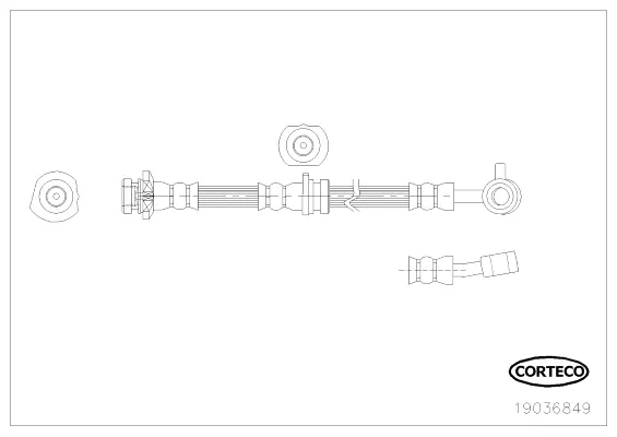 19036849 CORTECO Тормозной шланг (фото 1)
