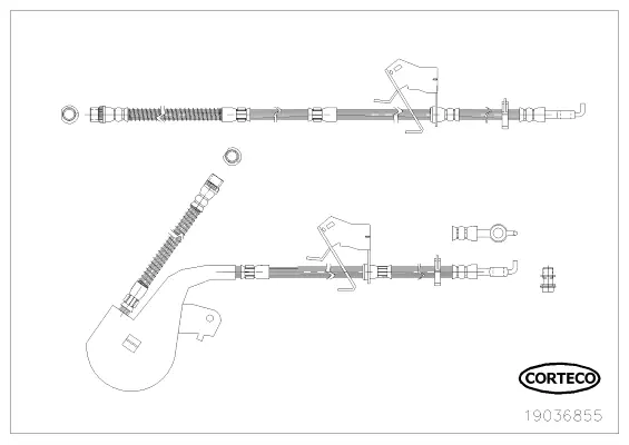 19036855 CORTECO Тормозной шланг (фото 1)