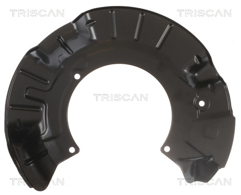 8125 11101 TRISCAN Отражатель, диск тормозного механизма (фото 2)