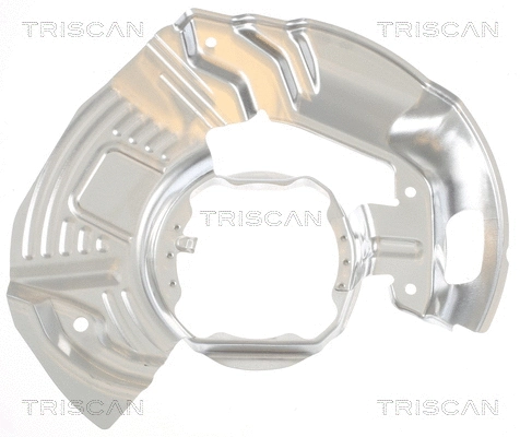 8125 11116 TRISCAN Отражатель, диск тормозного механизма (фото 2)