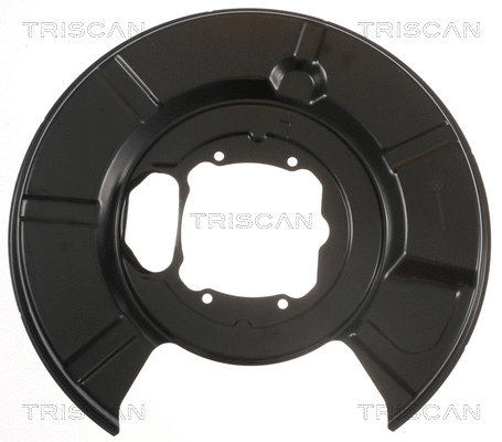 8125 11213 TRISCAN Отражатель, диск тормозного механизма (фото 1)