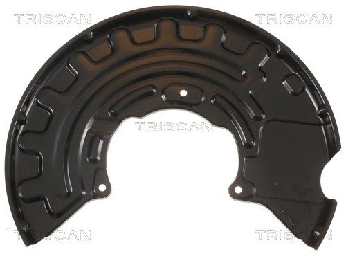 8125 29129 TRISCAN Отражатель, диск тормозного механизма (фото 1)