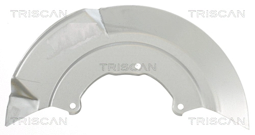 8125 29131 TRISCAN Отражатель, диск тормозного механизма (фото 1)
