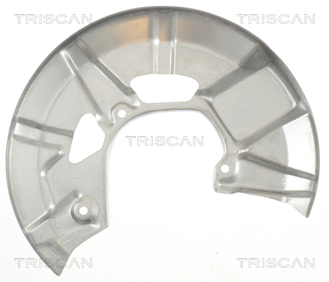8125 29149 TRISCAN Отражатель, диск тормозного механизма (фото 2)