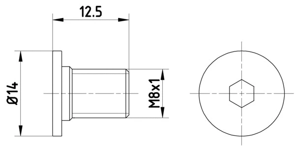 8DZ 355 209-021 BEHR/HELLA/PAGID Болт, диск тормозного механизма (фото 1)