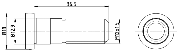 TPM0019 TEXTAR Болт, диск тормозного механизма (фото 1)