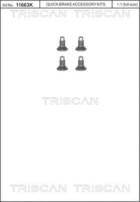 8105 116004 TRISCAN Болт, диск тормозного механизма (фото 1)