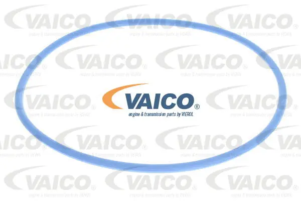 V25-0081 VAICO Топливный фильтр (фото 2)