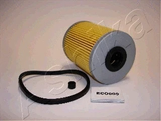 30-ECO009 ASHIKA Топливный фильтр (фото 1)