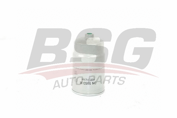 BSG 40-130-003 BSG Топливный фильтр (фото 1)