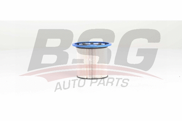 BSG 90-130-034 BSG Топливный фильтр (фото 1)