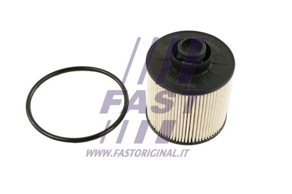 FT39306 FAST Топливный фильтр (фото 1)
