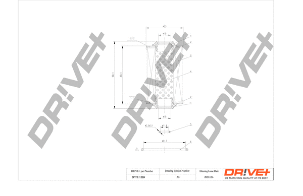 DP1110.11.0254 Dr!ve+ Масляный фильтр (фото 1)