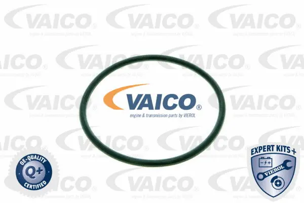 V10-0440-1 VAICO Гидрофильтр, автоматическая коробка передач (фото 2)