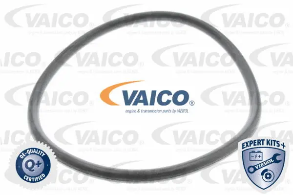 V10-0440-1 VAICO Гидрофильтр, автоматическая коробка передач (фото 3)