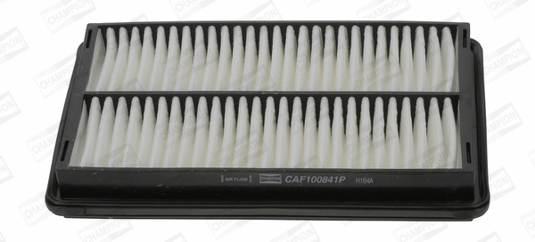 CAF100841P CHAMPION Воздушный фильтр (фото 1)