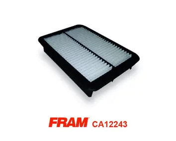 CA12243 FRAM Воздушный фильтр (фото 1)