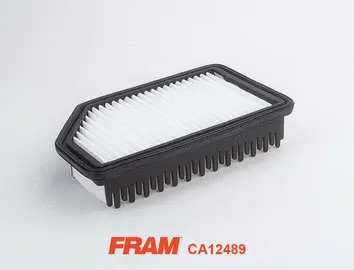 CA12489 FRAM Воздушный фильтр (фото 1)