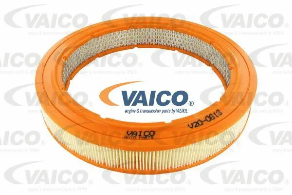 V20-0613 VAICO Воздушный фильтр (фото 1)