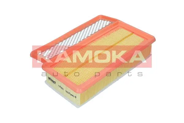 F253001 KAMOKA Воздушный фильтр (фото 1)
