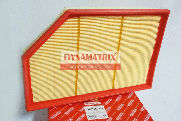 DAF1591/9 DYNAMATRIX Воздушный фильтр (фото 1)