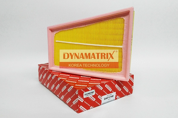 DAF1748 DYNAMATRIX Воздушный фильтр (фото 1)