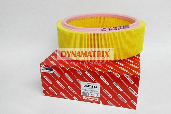 DAF2844 DYNAMATRIX Воздушный фильтр (фото 1)