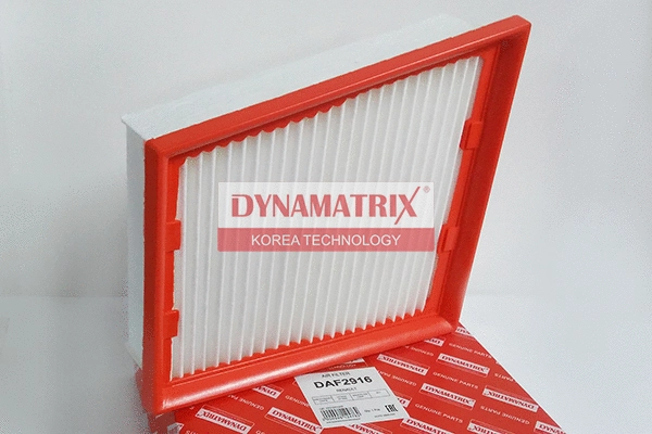 DAF2916 DYNAMATRIX Воздушный фильтр (фото 1)