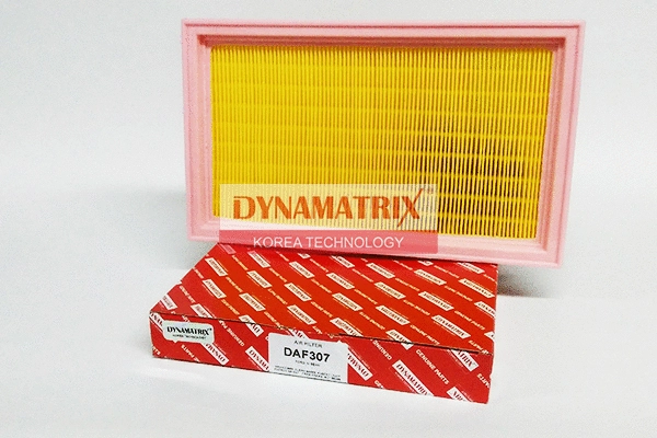 DAF307 DYNAMATRIX Воздушный фильтр (фото 1)