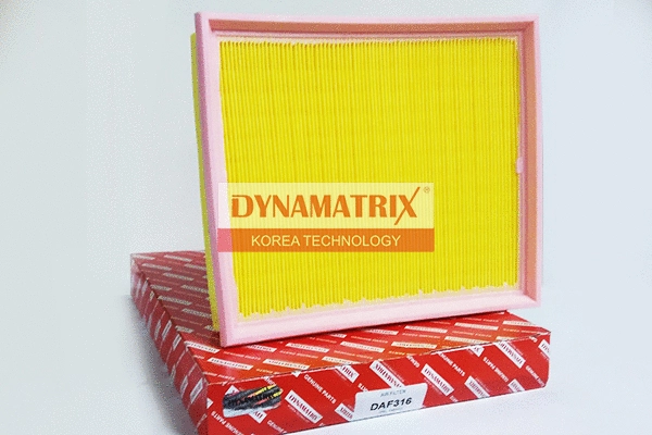 DAF316 DYNAMATRIX Воздушный фильтр (фото 1)