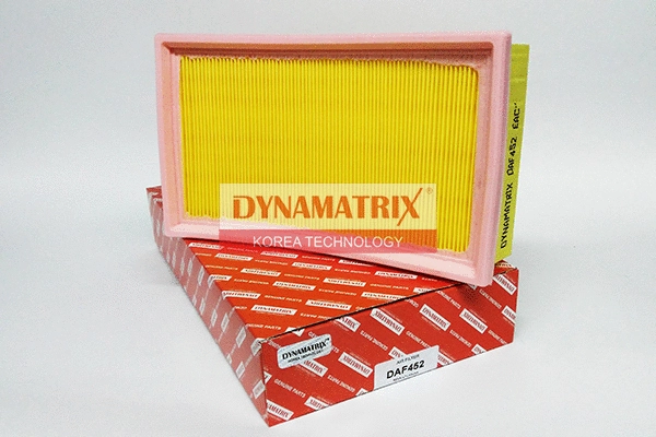 DAF452 DYNAMATRIX Воздушный фильтр (фото 1)