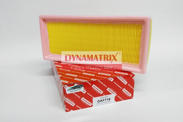 DAF719 DYNAMATRIX Воздушный фильтр (фото 1)