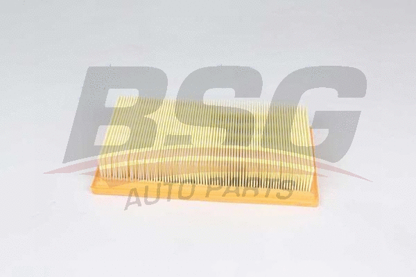 BSG 30-135-029 BSG Воздушный фильтр (фото 1)