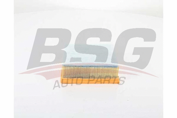 BSG 30-135-030 BSG Воздушный фильтр (фото 1)