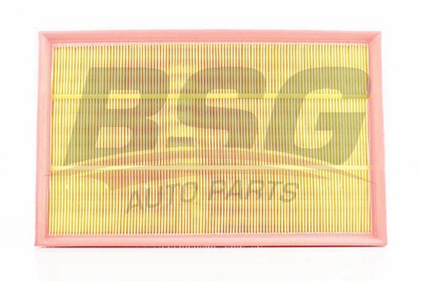 BSG 60-135-002 BSG Воздушный фильтр (фото 1)